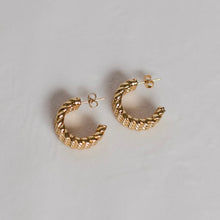 Load image into Gallery viewer, Golden Gleam Earrings
