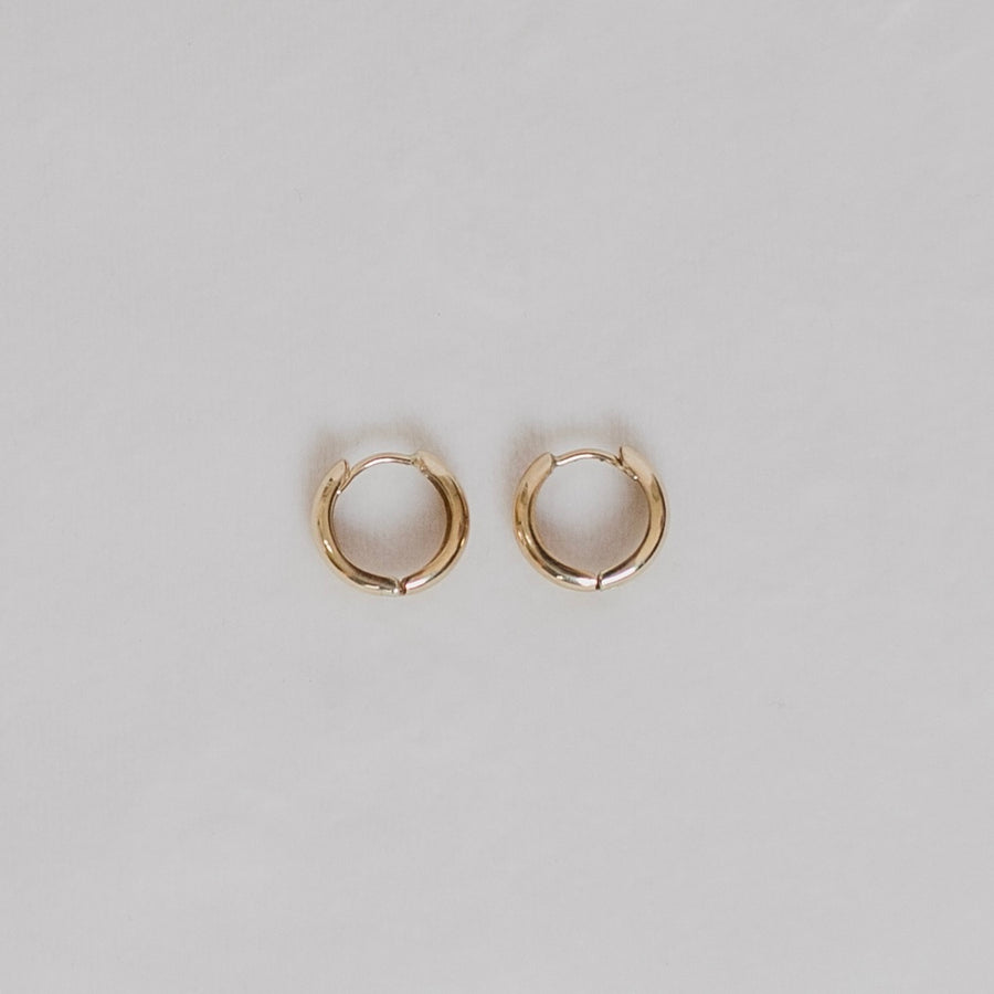 Olivia Solid Gold Hoops